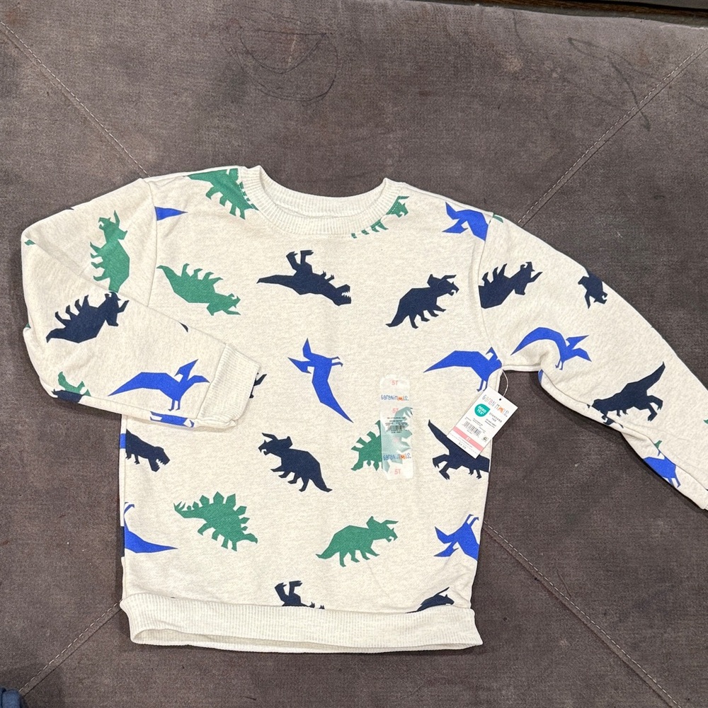Dinosaur Print Kids Sweatshirt - Cream, Green, Blue